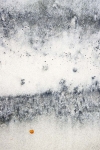 RH-CONTEMPORARY-ART-d