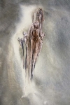 SCHILT-GALLERY-a