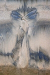 SCHILT-GALLERY-c