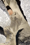 SCHILT-GALLERY-i