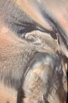 SCHILT-GALLERY-k