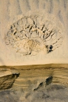 SCHILT-GALLERY-l