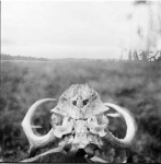 Vintage-Photos-a
