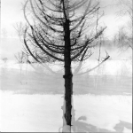 Vintage-Photos-j
